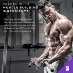 ⁦Mass Tech Extreme 2000⁩ - الصورة ⁦3⁩